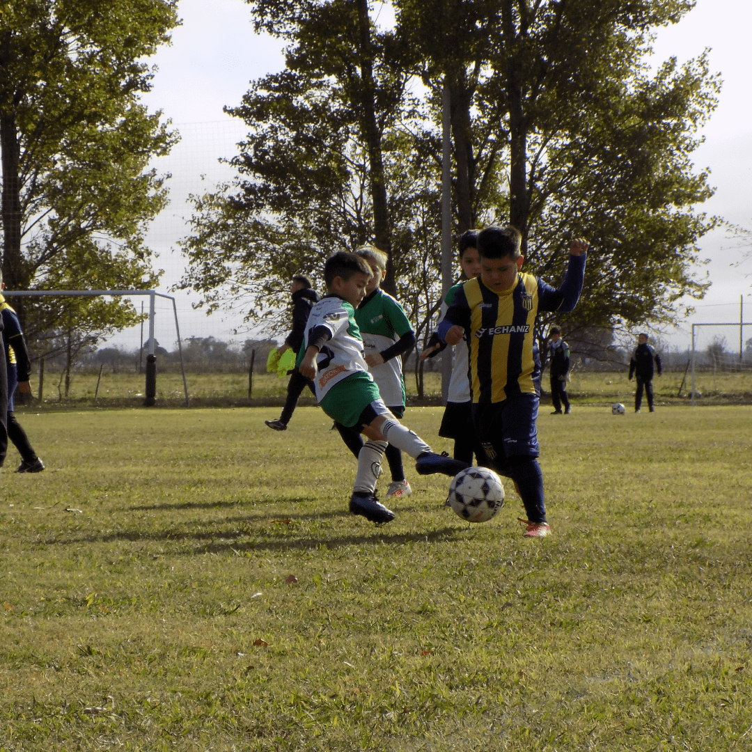 vistas/img/noticias/16-05-2024-09_43_39.png